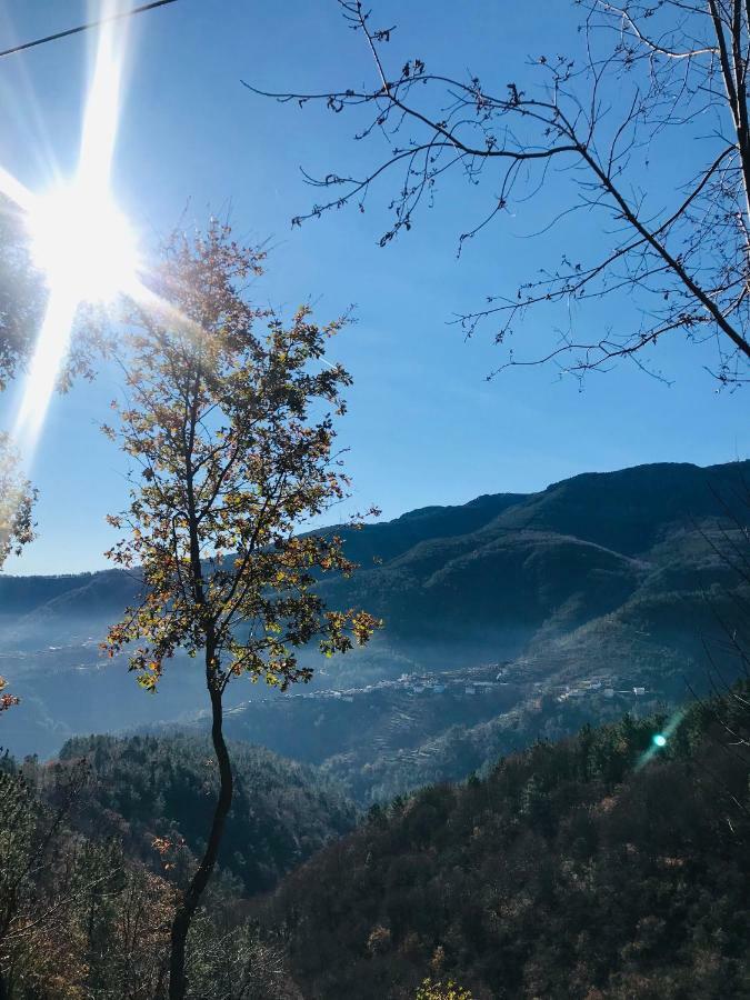 Вилла "Casa Do Avo Patricio" Mountain Experience Parada  Экстерьер фото